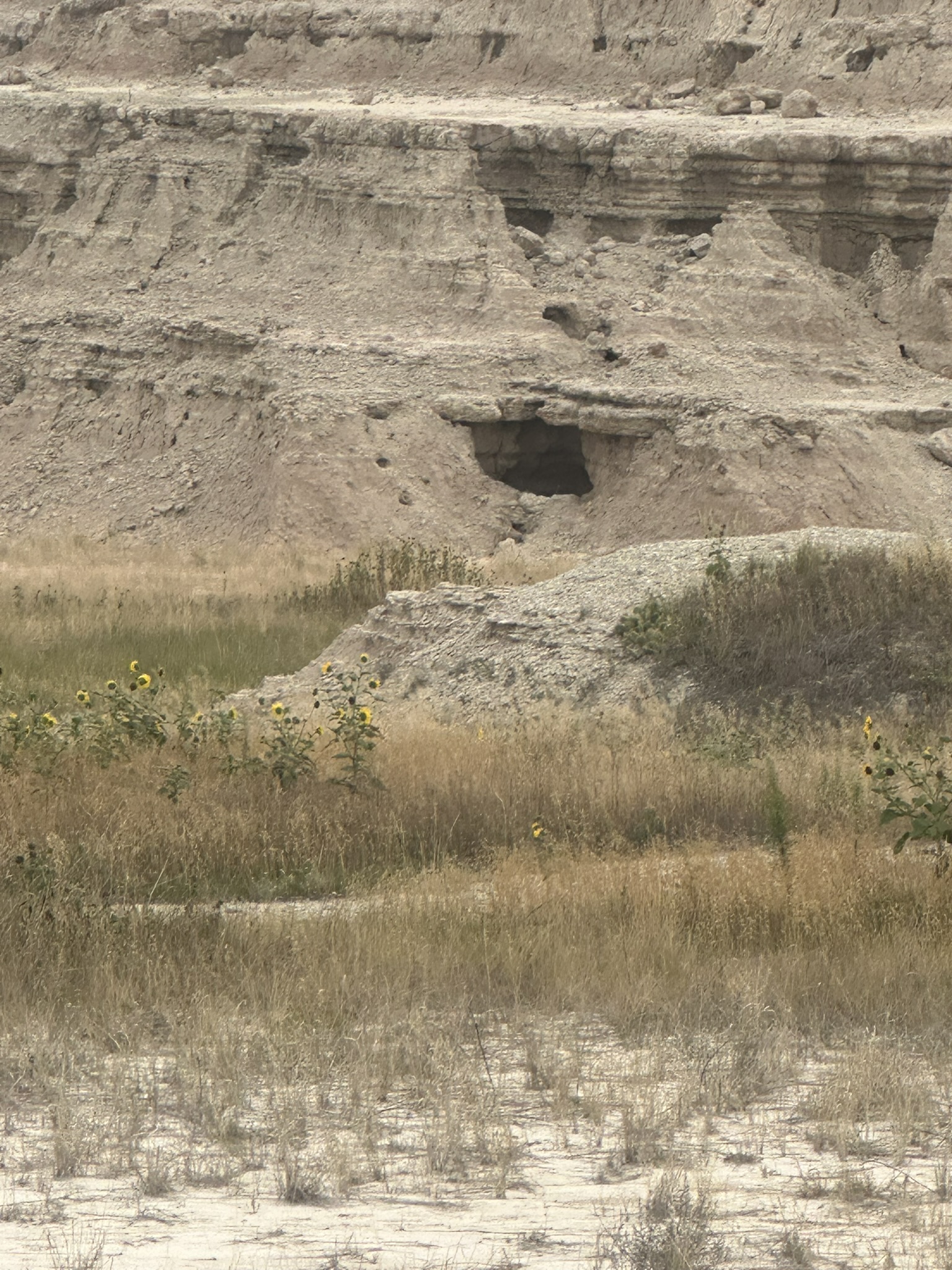 South Dakota - Image 480